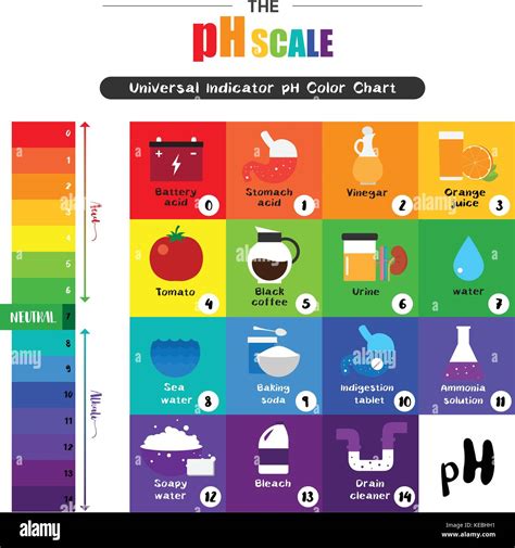 Acids, alkalis and the pH scale Indicators and the pH .
